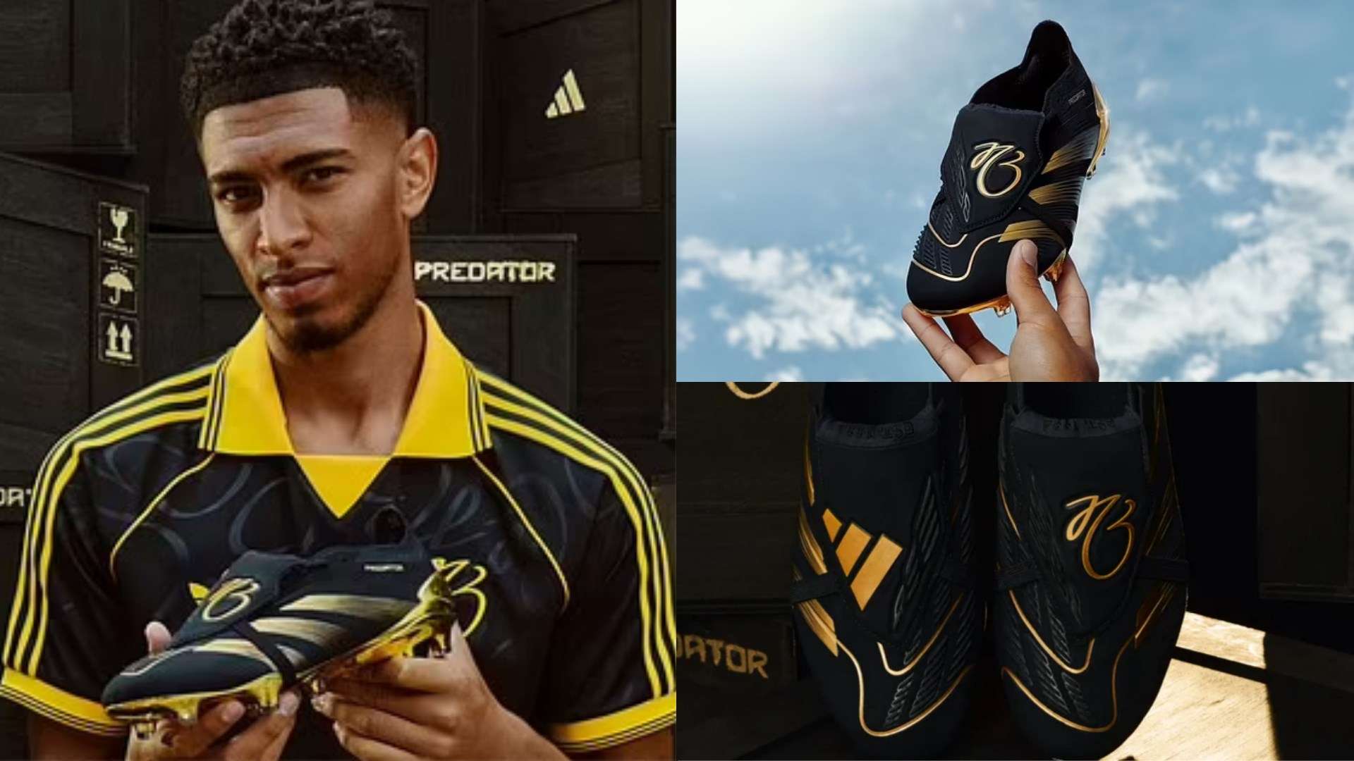 争取佳绩 争取佳绩